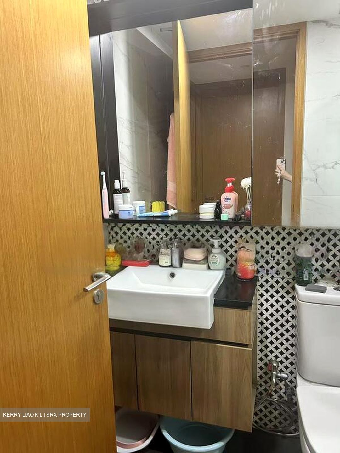 The Verandah Residences (D5), Apartment #446239161